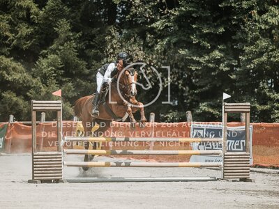 © Niki Buchegger, turnier-fotos.at