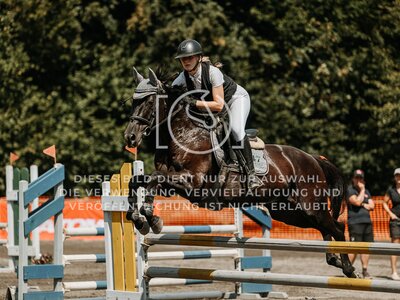© Niki Buchegger, turnier-fotos.at