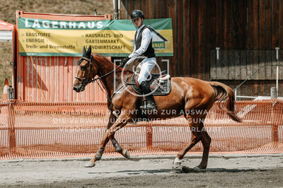 © Niki Buchegger, turnier-fotos.at