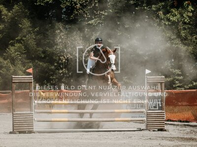 © Niki Buchegger, turnier-fotos.at
