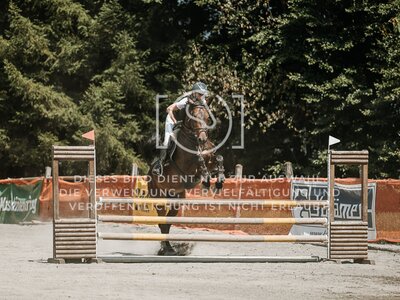 © Niki Buchegger, turnier-fotos.at