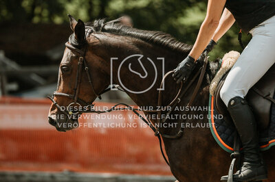 © Niki Buchegger, turnier-fotos.at