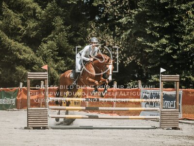 © Niki Buchegger, turnier-fotos.at
