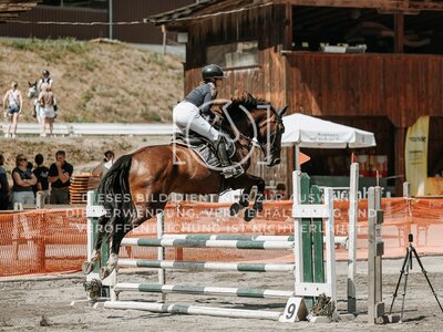 © Niki Buchegger, turnier-fotos.at