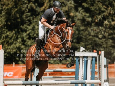 © Niki Buchegger, turnier-fotos.at