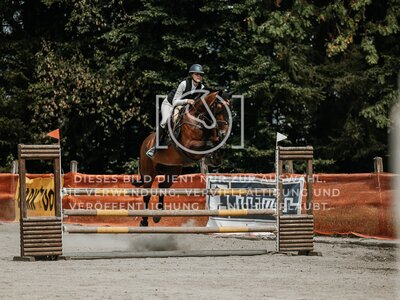 © Niki Buchegger, turnier-fotos.at