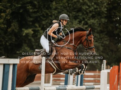 © Niki Buchegger, turnier-fotos.at