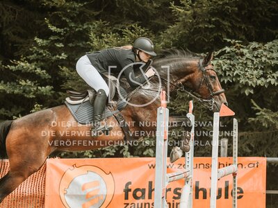 © Niki Buchegger, turnier-fotos.at