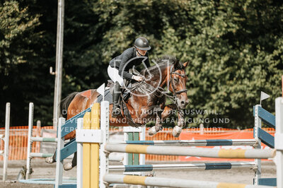© Niki Buchegger, turnier-fotos.at